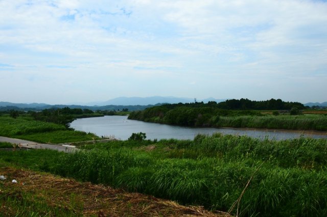 夏井川