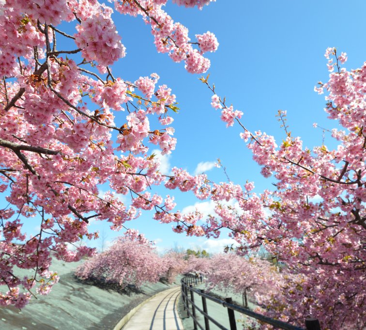 21世紀の森公園