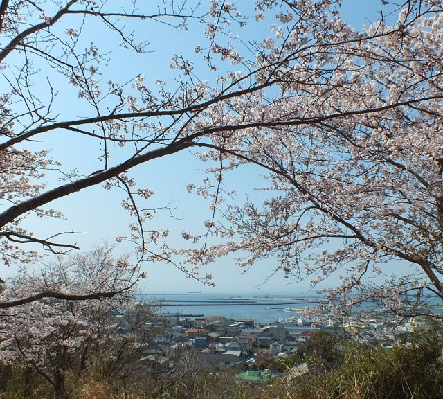 小名浜地区さくらまつり