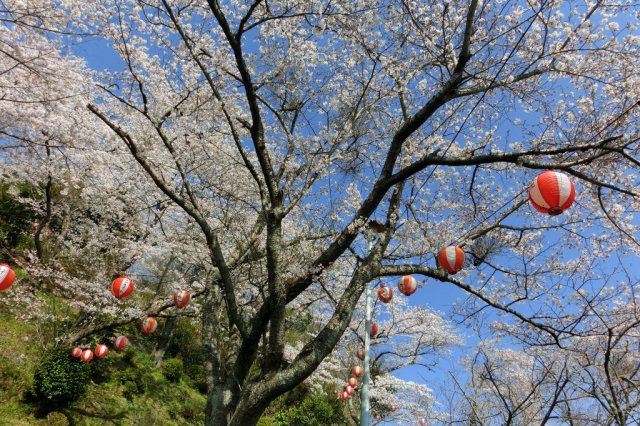 御幸山公園