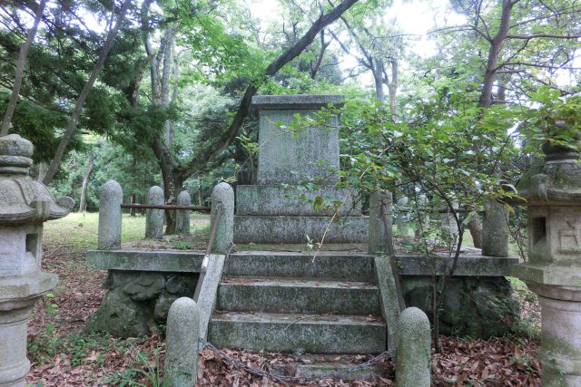 飯野平城跡（大館城跡）