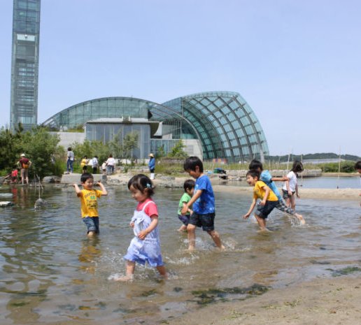 じゃぶじゃぶ・めぐりの海