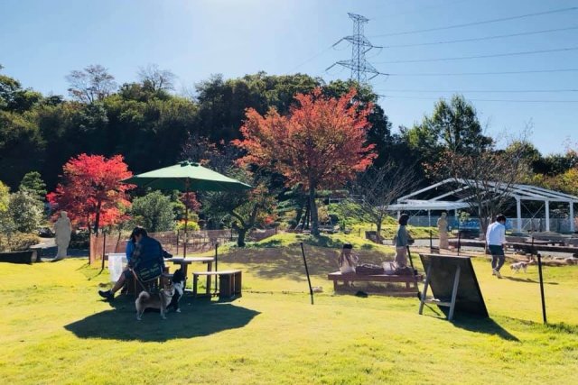 あすか芽吹きの森