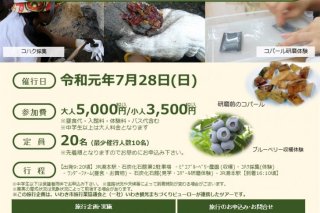 ツアーチラシ