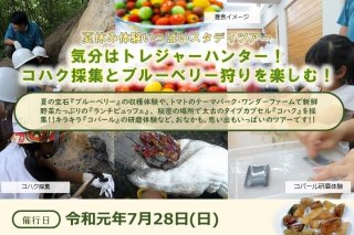 ツアーチラシTOP