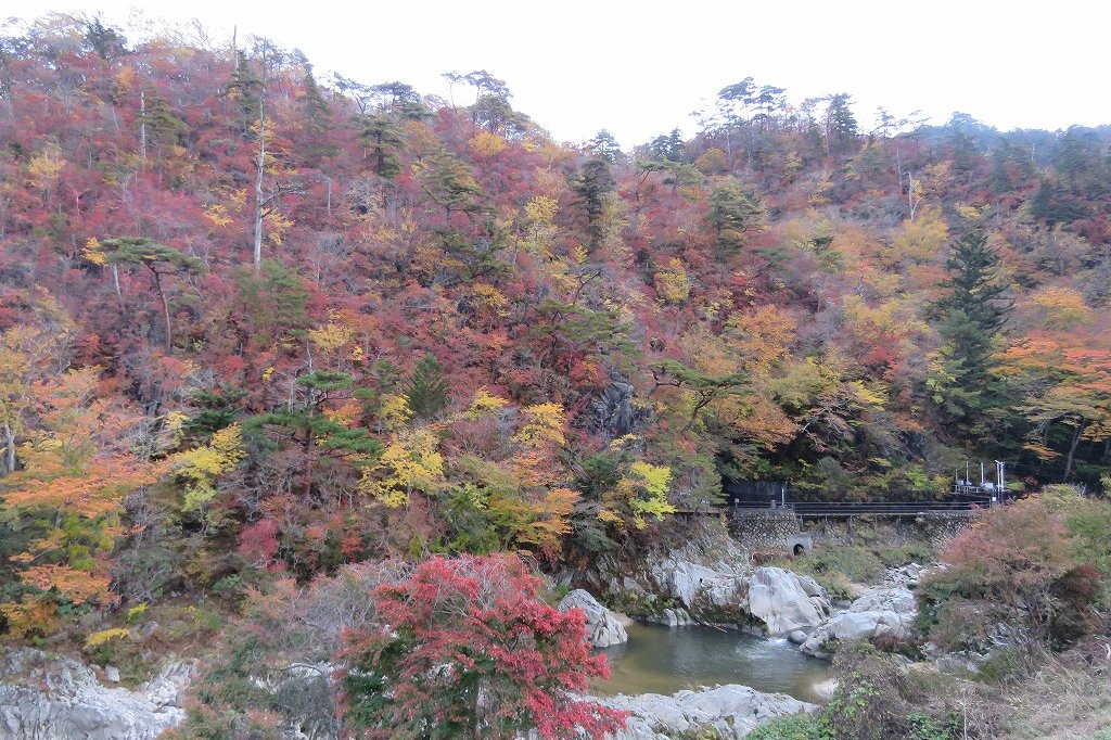 夏井川渓谷錦展望台 見る 遊ぶ いわき市観光サイト いわき市の観光 旅行情報が満載