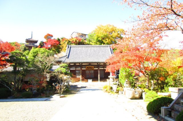 真言宗智山派 三箱山法海寺勝行院