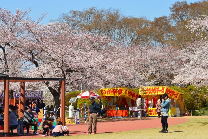 松ヶ岡公園｜見る・遊ぶ｜いわき市観光サイト - いわき市の観光・旅行