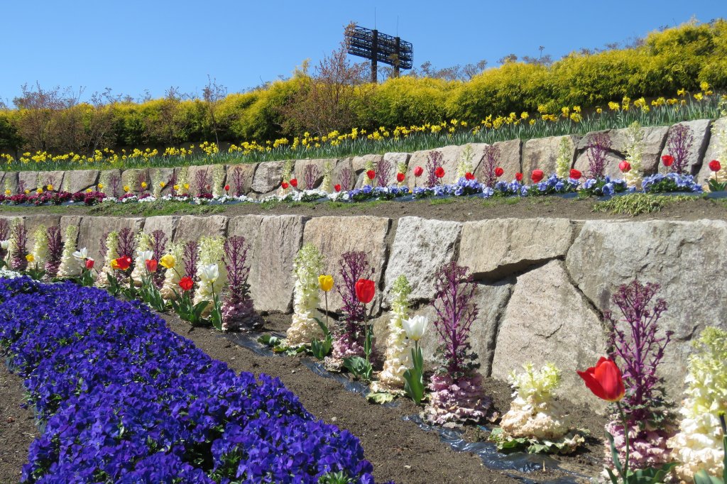 21世紀の森公園