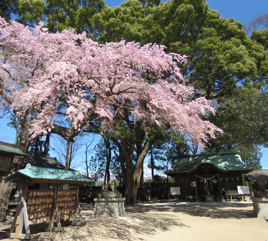 三島八幡神社