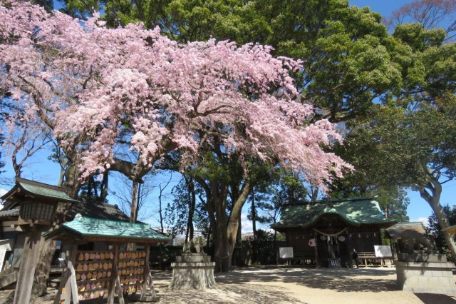 三島八幡神社