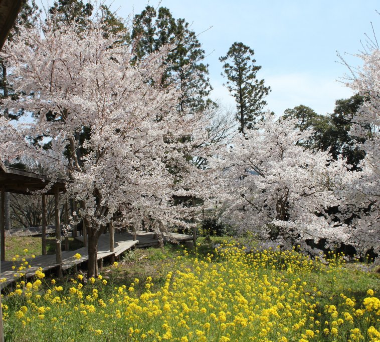 いわき回廊美術館