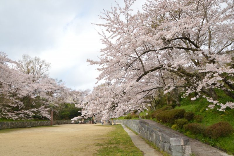 2020年4月4日現在