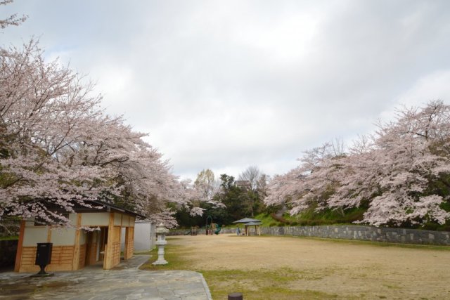 丹後沢公園