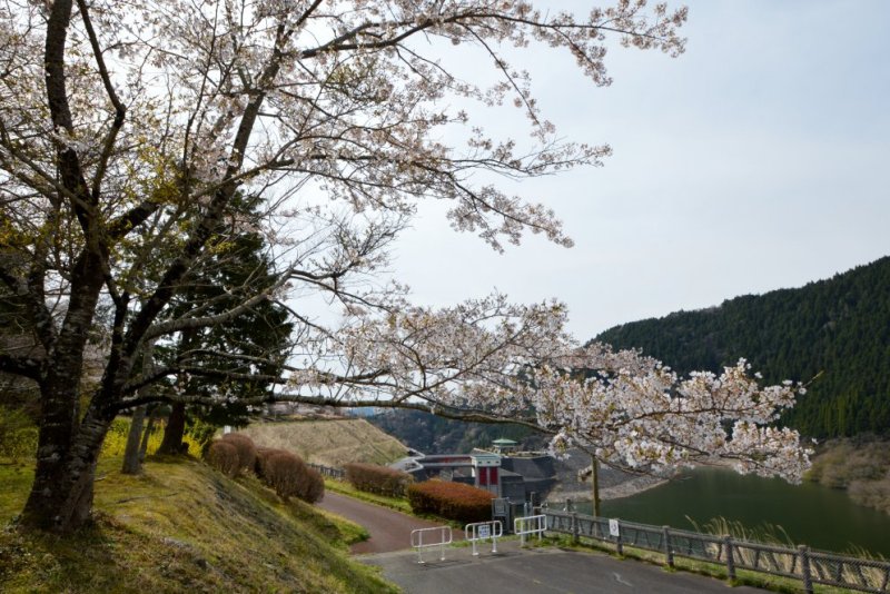 四時ダム｜見る・遊ぶ｜いわき市観光サイト - いわき市の観光・旅行