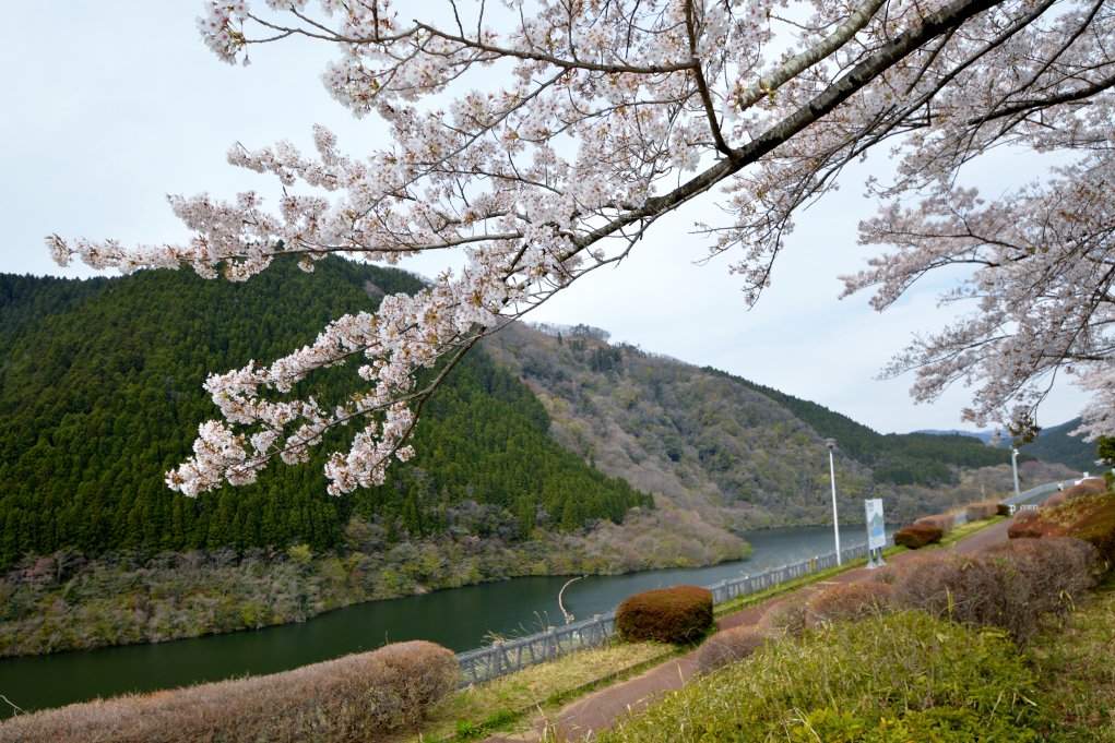 四時ダム｜見る・遊ぶ｜いわき市観光サイト - いわき市の観光・旅行