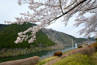 2020年4月7日現在