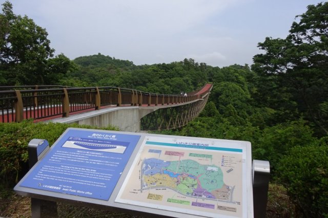 いわき公園吊り橋からの絶景ウォーキングと周辺を楽しもう