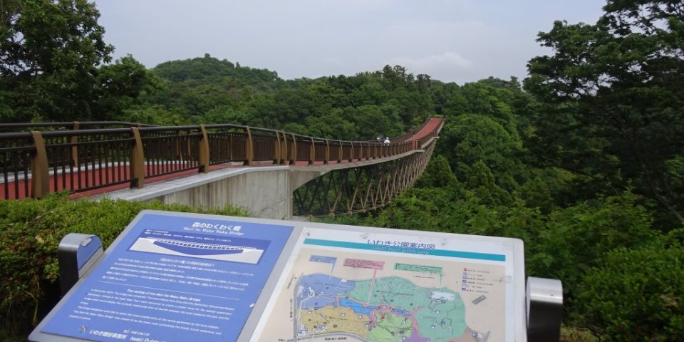 いわき公園吊り橋からの絶景ウォーキングと周辺を楽しもう