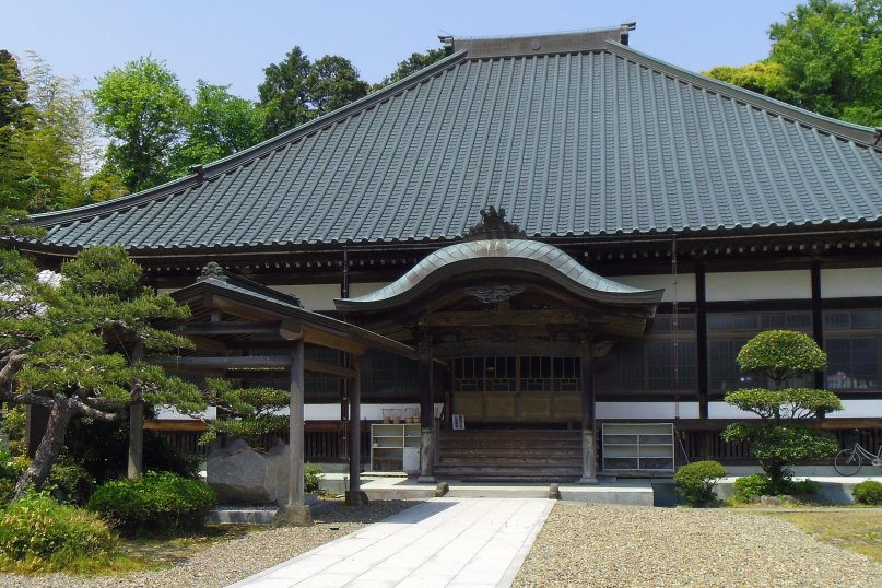 御堂赤松 岩手県産 山木 山採り 懸崖 希少 あやかっ