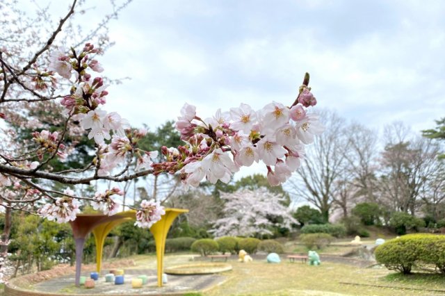 小名浜臨海工業団地東緑地(大剣公園)