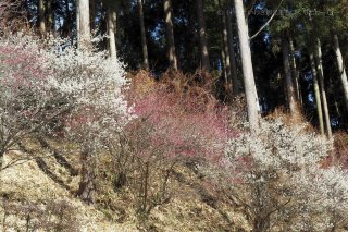 2021年2月28日現在