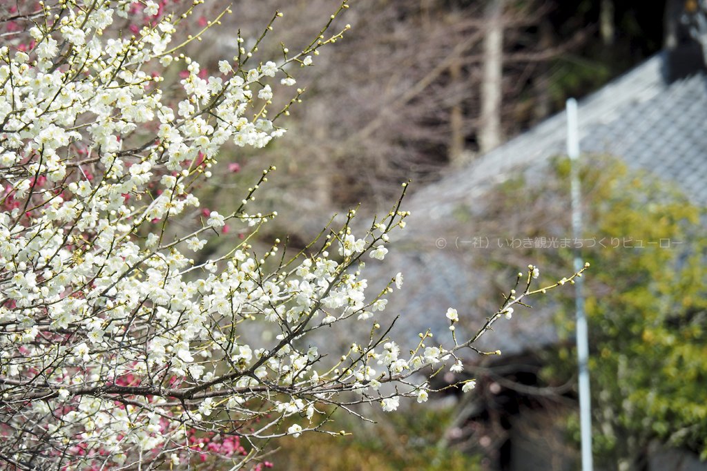 2021年2月28日現在