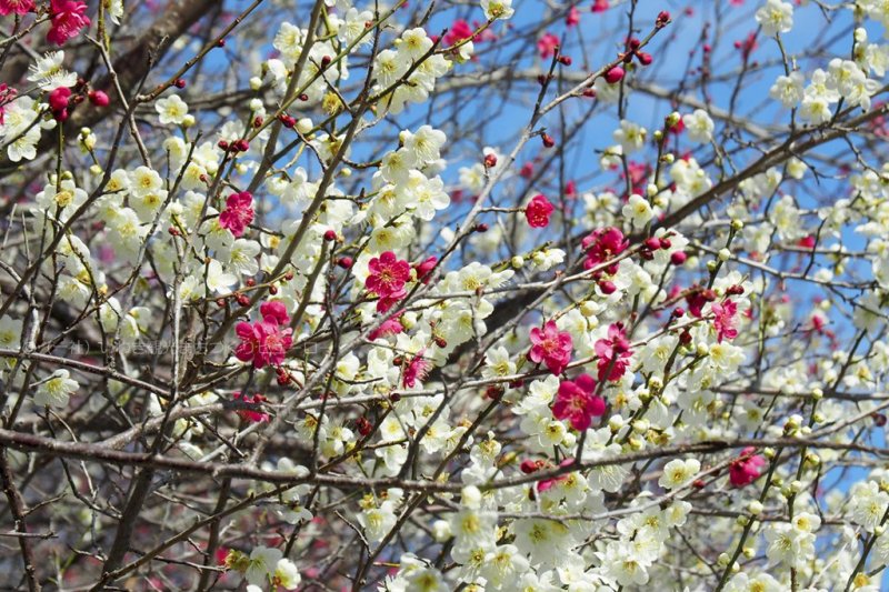 2021年2月28日現在