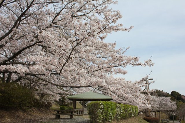 いわき総合運動公園（上荒川公園）