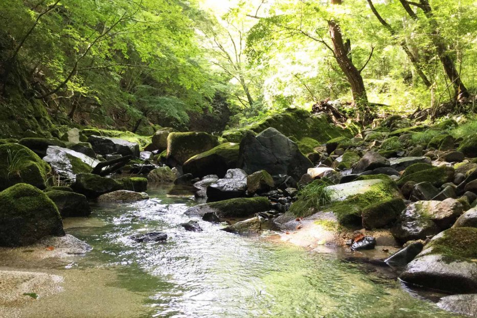 ハッシュ村そばを流れる川
