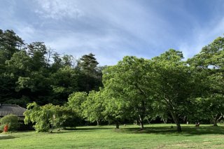 フィールド　栗の木エリア