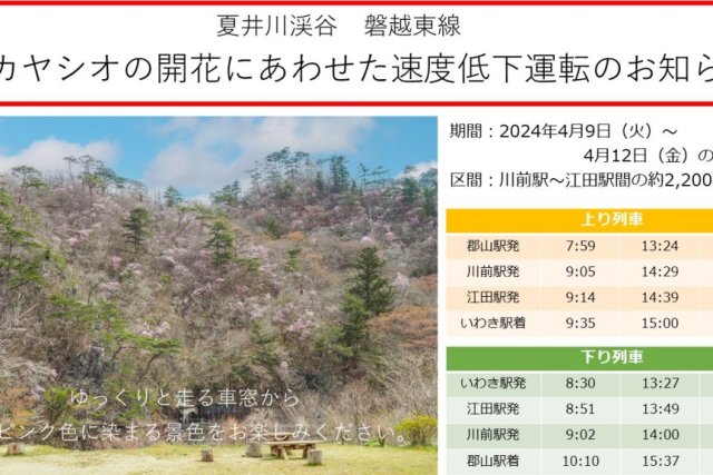 JR磐越東線アカヤシオ(岩ツツジ)の開花に合わせた徐行運転