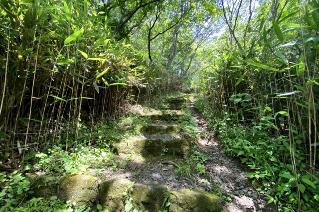 いわきあるき【いわき名物ガイドプラン】石森山公園遊歩道～自然観察コース～《要事前申込》