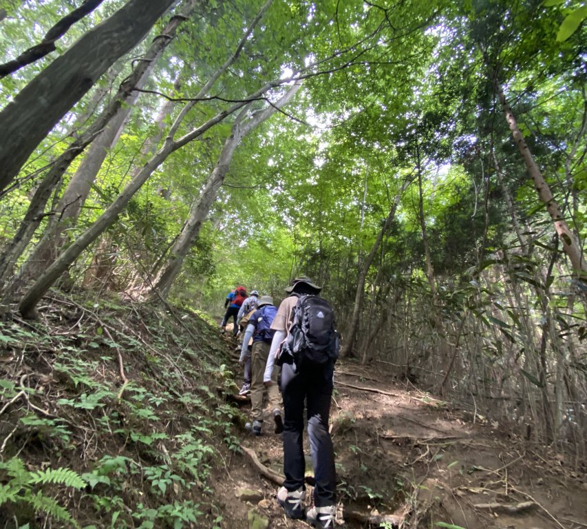 いわきあるき【初心者向け低山登山プラン】明神山登山《要事前申込》