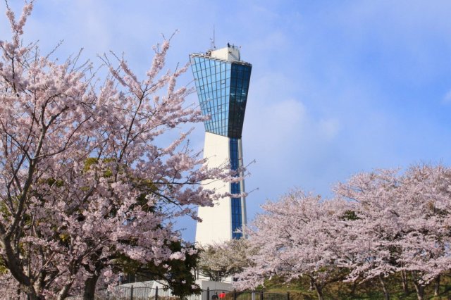1 night 2 days trip to enjoy fresh seafood in Iwaki by cycling