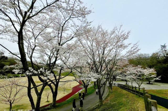 県営いわき公園