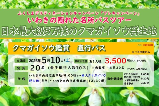 いわきあるき2025　日本最大級5万株のクマガイソウ　直行バス《要事前申込》