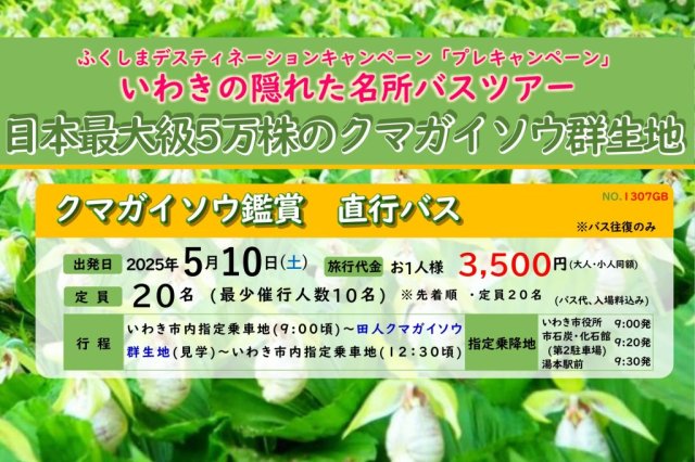 いわきあるき2024　日本最大級5万株のクマガイソウ　直行バス《要事前申込》