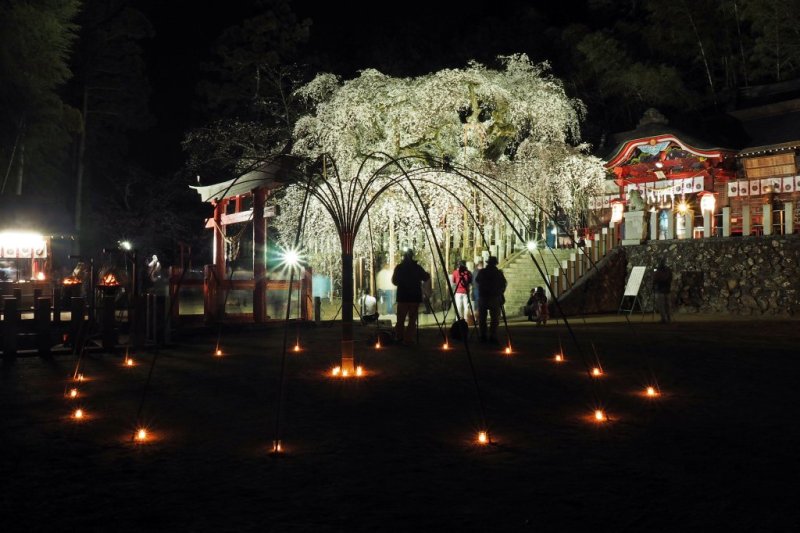 小川諏訪神社 見る 遊ぶ いわき市観光サイト いわき市の観光 旅行情報が満載