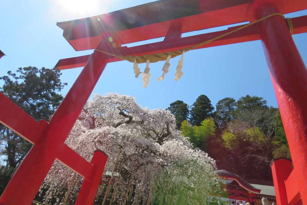 小川諏訪神社 見る 遊ぶ いわき市観光サイト いわき市の観光 旅行情報が満載