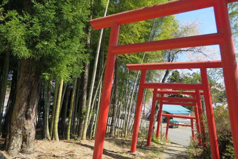 小川諏訪神社 見る 遊ぶ いわき市観光サイト いわき市の観光 旅行情報が満載