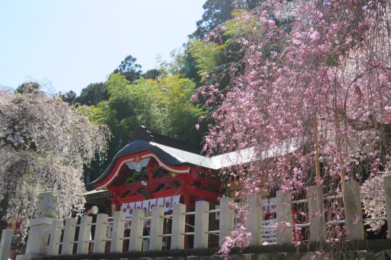 小川諏訪神社 見る 遊ぶ いわき市観光サイト いわき市の観光 旅行情報が満載