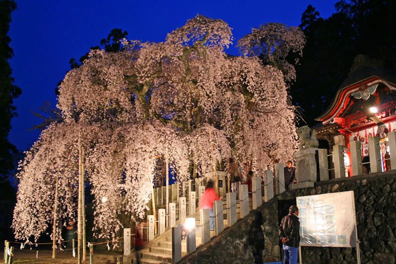 小川諏訪神社 見る 遊ぶ いわき市観光サイト いわき市の観光 旅行情報が満載