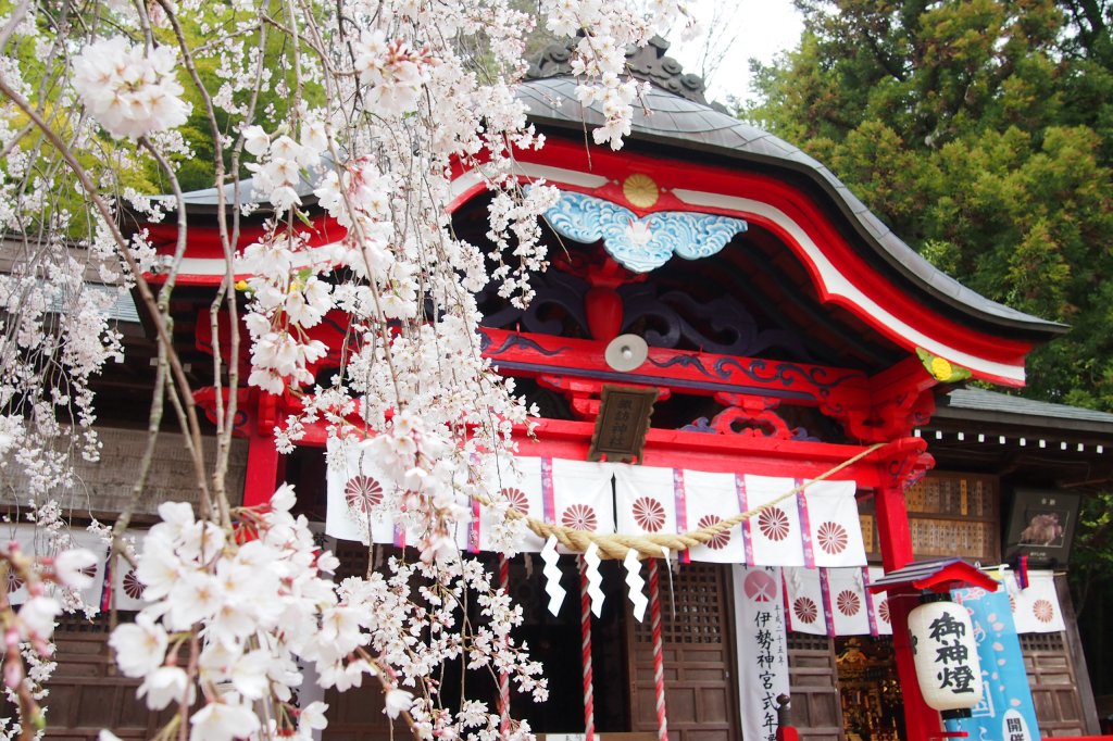 小川諏訪神社 見る 遊ぶ いわき市観光サイト いわき市の観光 旅行情報が満載