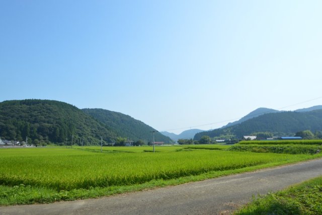 いわきあるき2024　【初心者向け低山登山～仏具山登山～】《要事前申込》