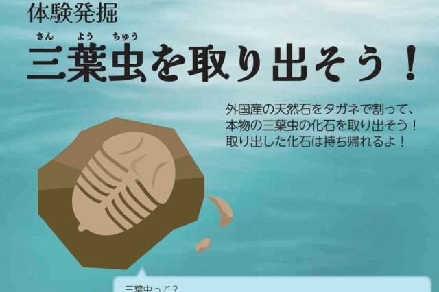 体験発掘「三葉虫を取り出そう！」