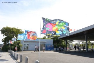 大漁旗アート展　キッズの部最優秀賞