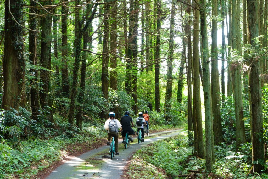 大野・玉山エリア