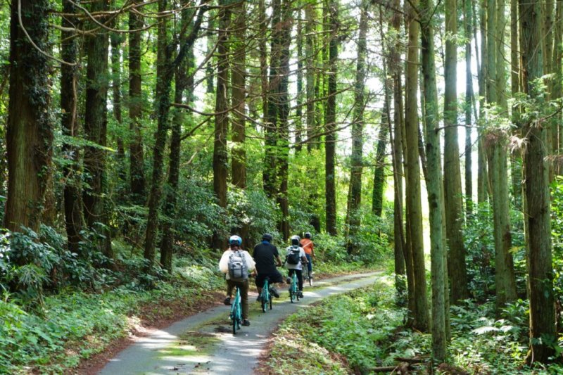 大野・玉山エリア