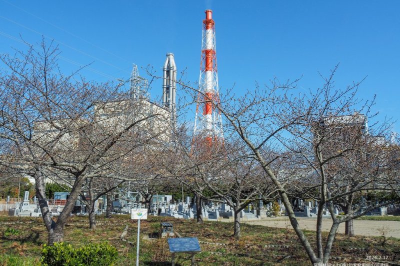 2024年2月17日(土)時点